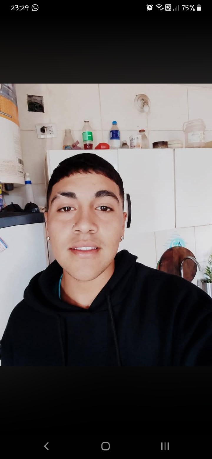 Luis Gabriel Araya Tello
