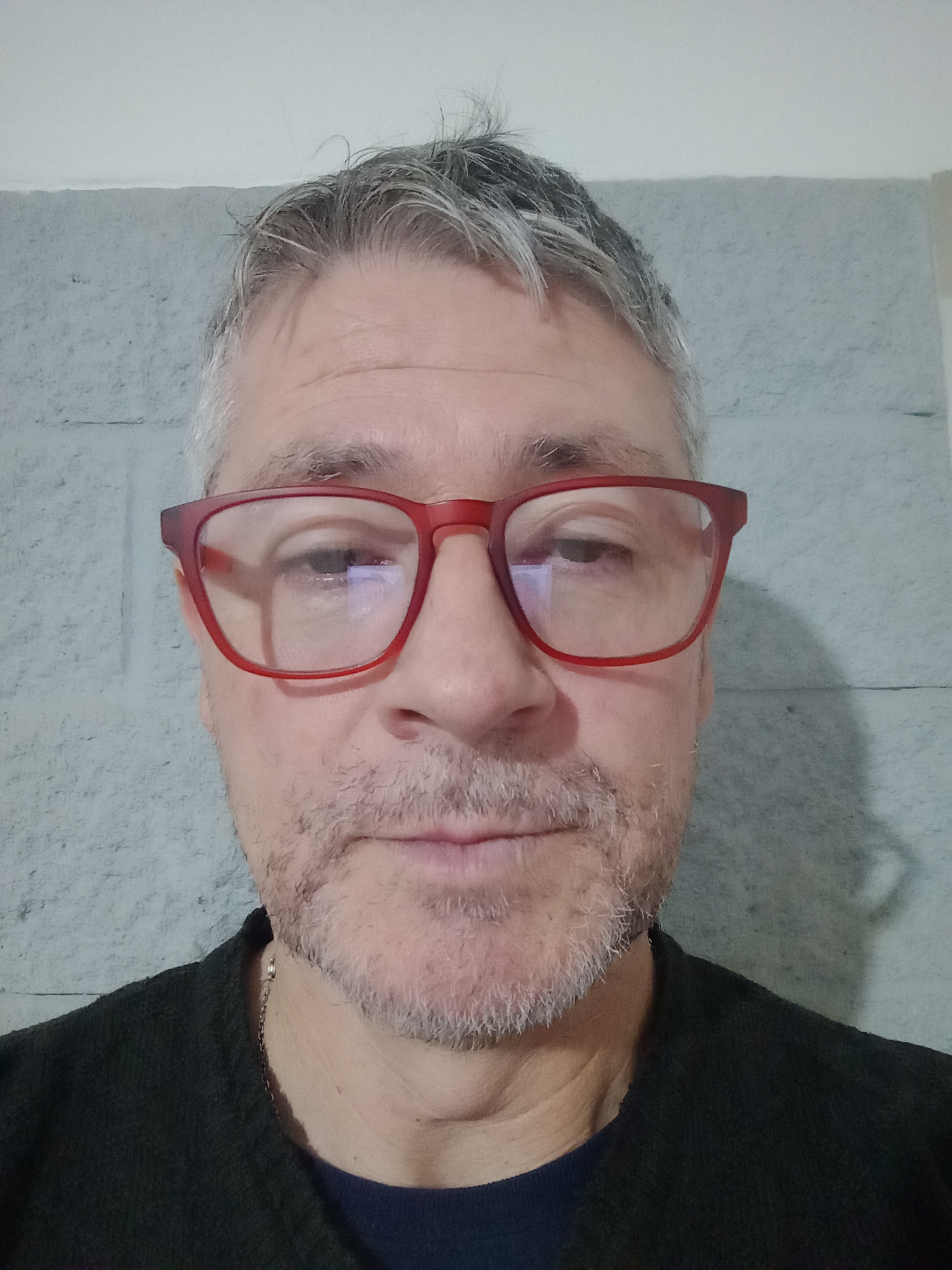 Gonzalo Manuel Torres
